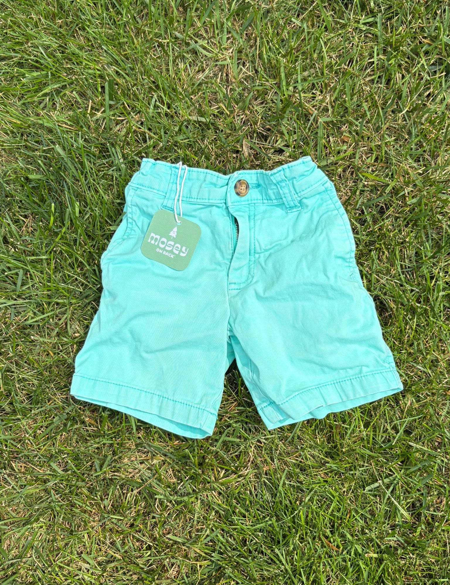 Carter's Aqua Shorts, Size 3T, pre-loved, front view