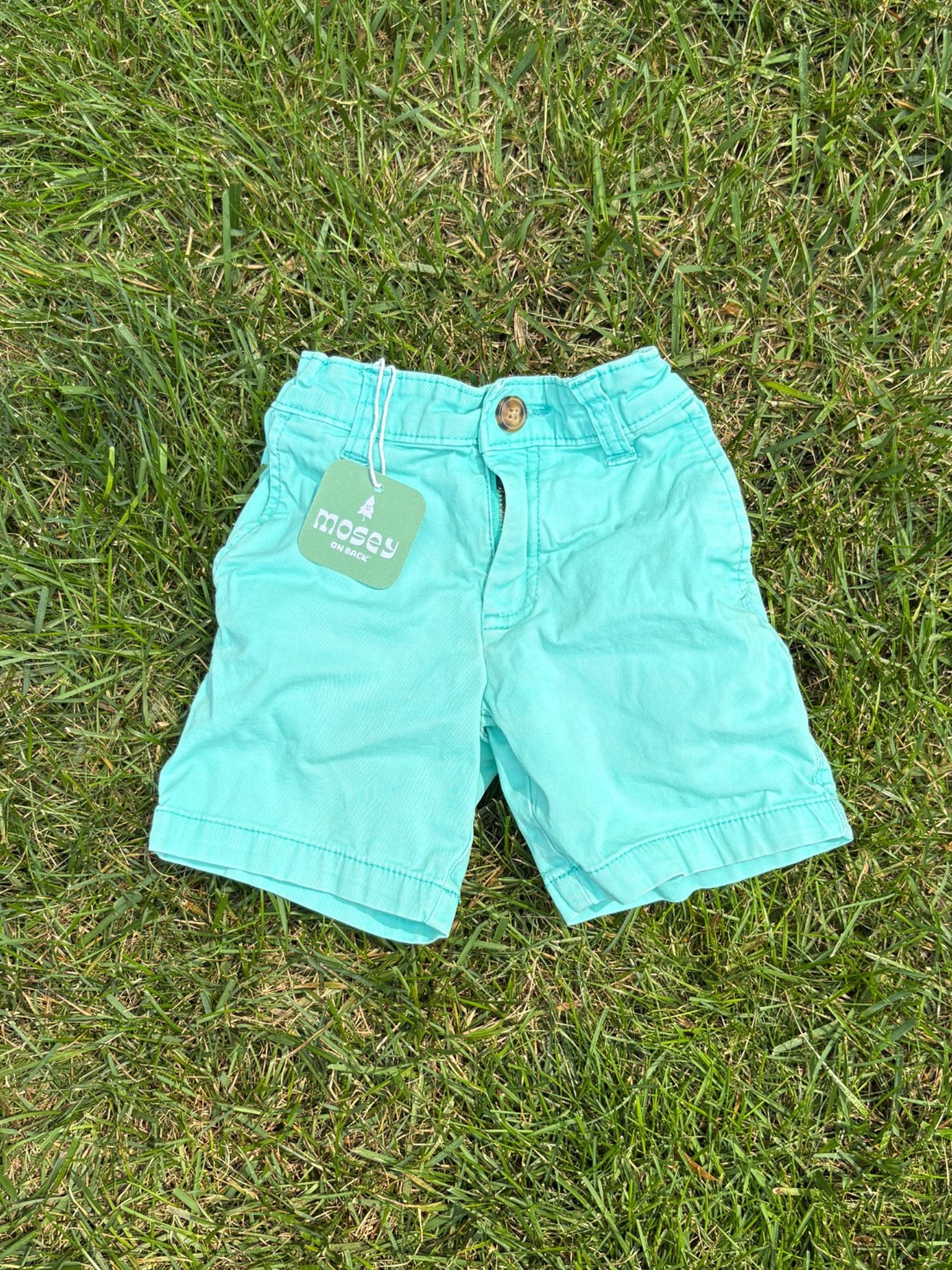 Carter's Aqua Shorts, Size 3T, pre-loved, front view