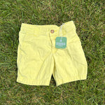 Carter's Yellow Shorts, Size 3T, pre-loved, front view