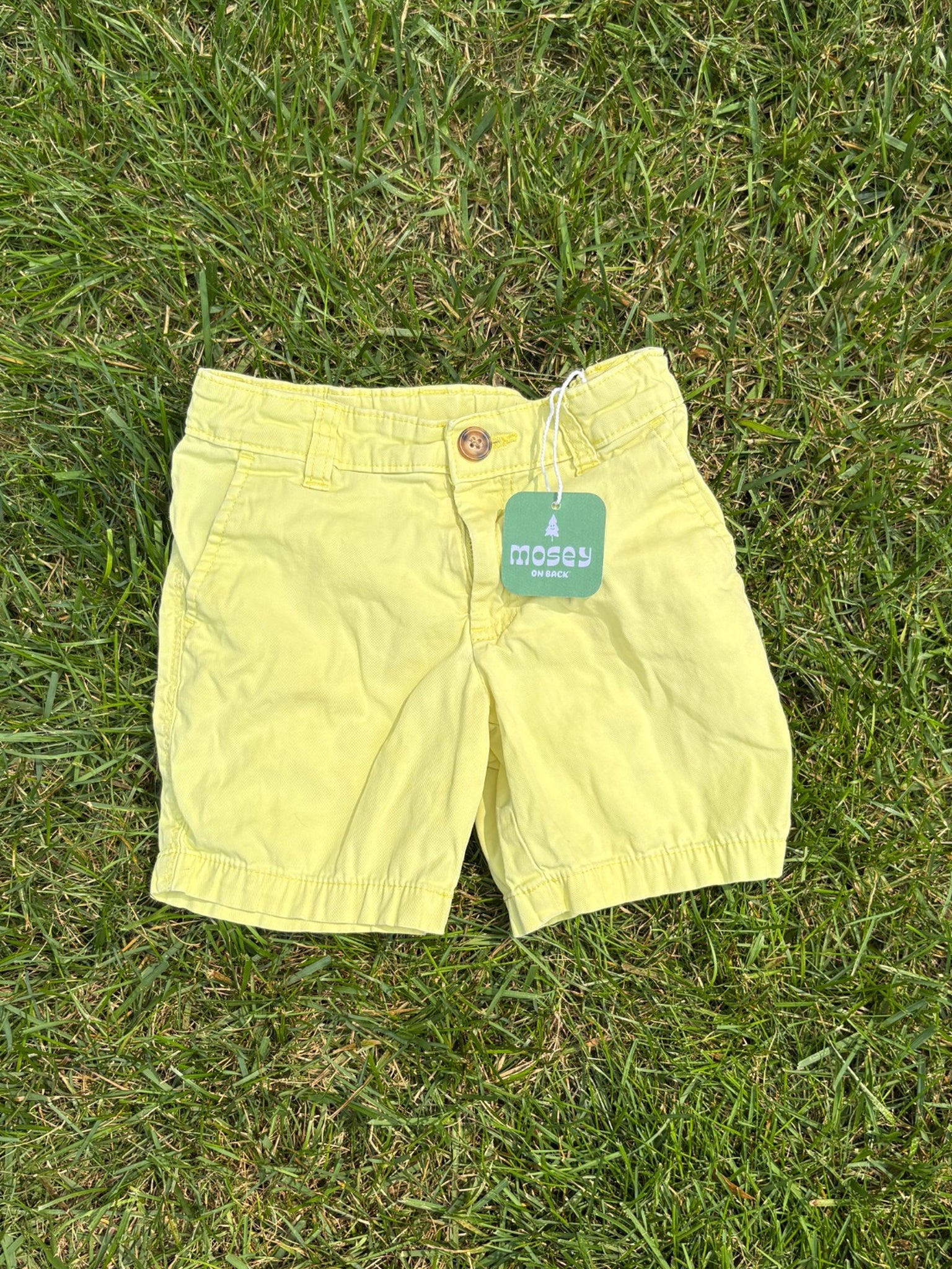 Carter's Yellow Shorts, Size 3T, pre-loved, front view