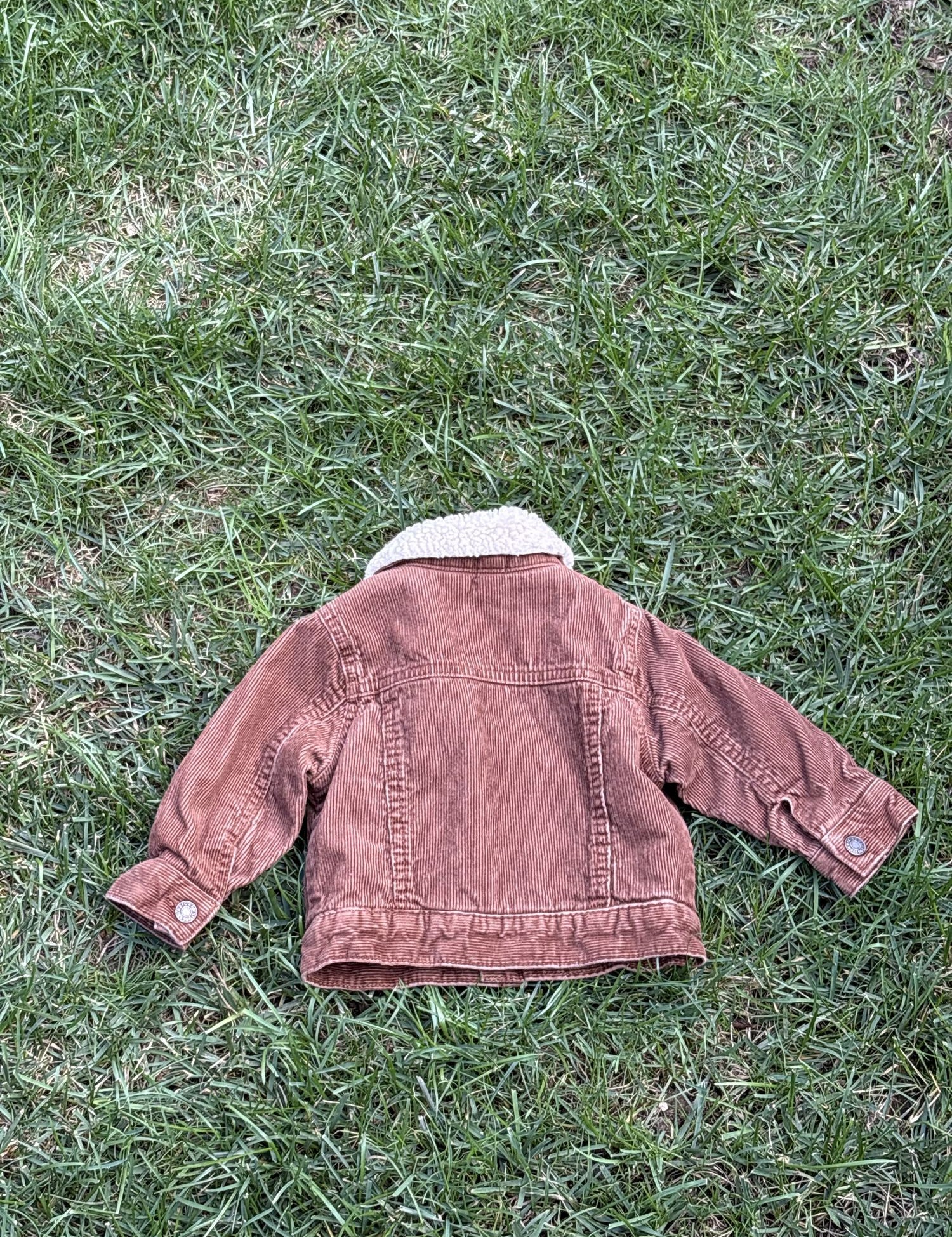 Pre-loved Gap rust corduroy sherpa-collar trucker jacket, kids size 6-12M, back view, laid flat on grass