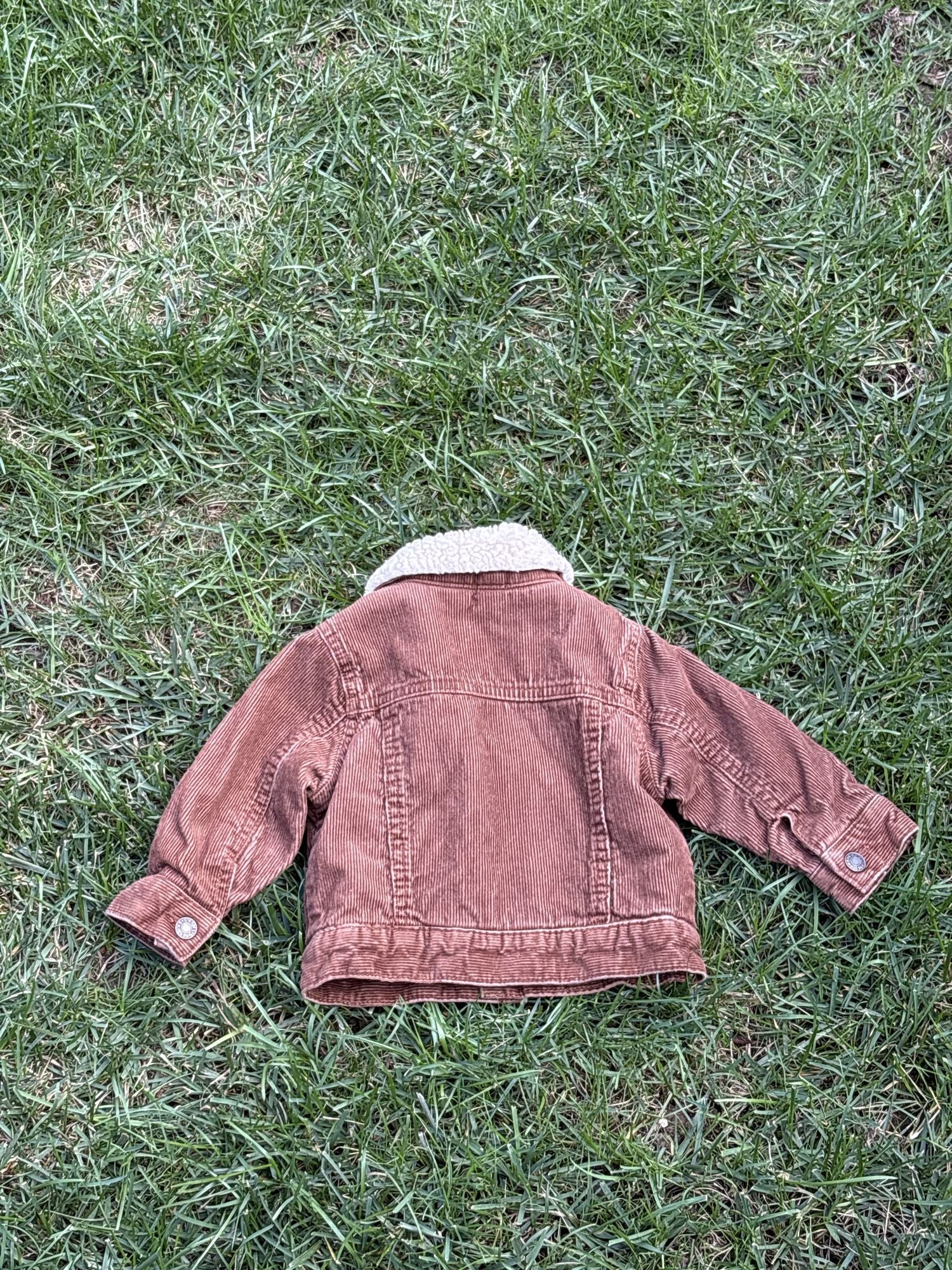 Pre-loved Gap rust corduroy sherpa-collar trucker jacket, kids size 6-12M, back view, laid flat on grass