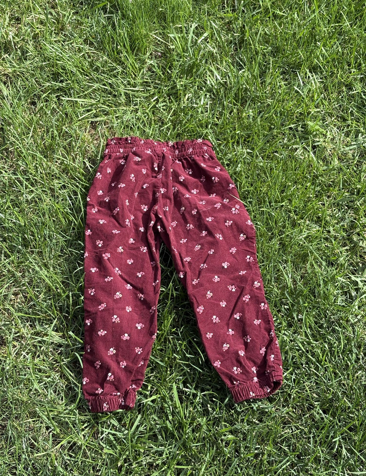 Pre-loved H&M burgundy floral corduroy pull-on pants, kids size 3T, front view, laid flat on grass