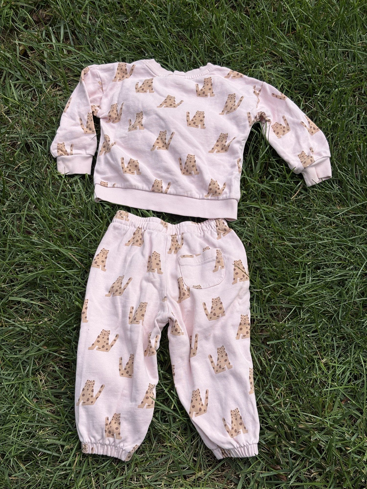 Pre-loved Hanna Andersson pink leopard print sweatshirt and jogger set, kids size 2T, back view, laid flat on grass