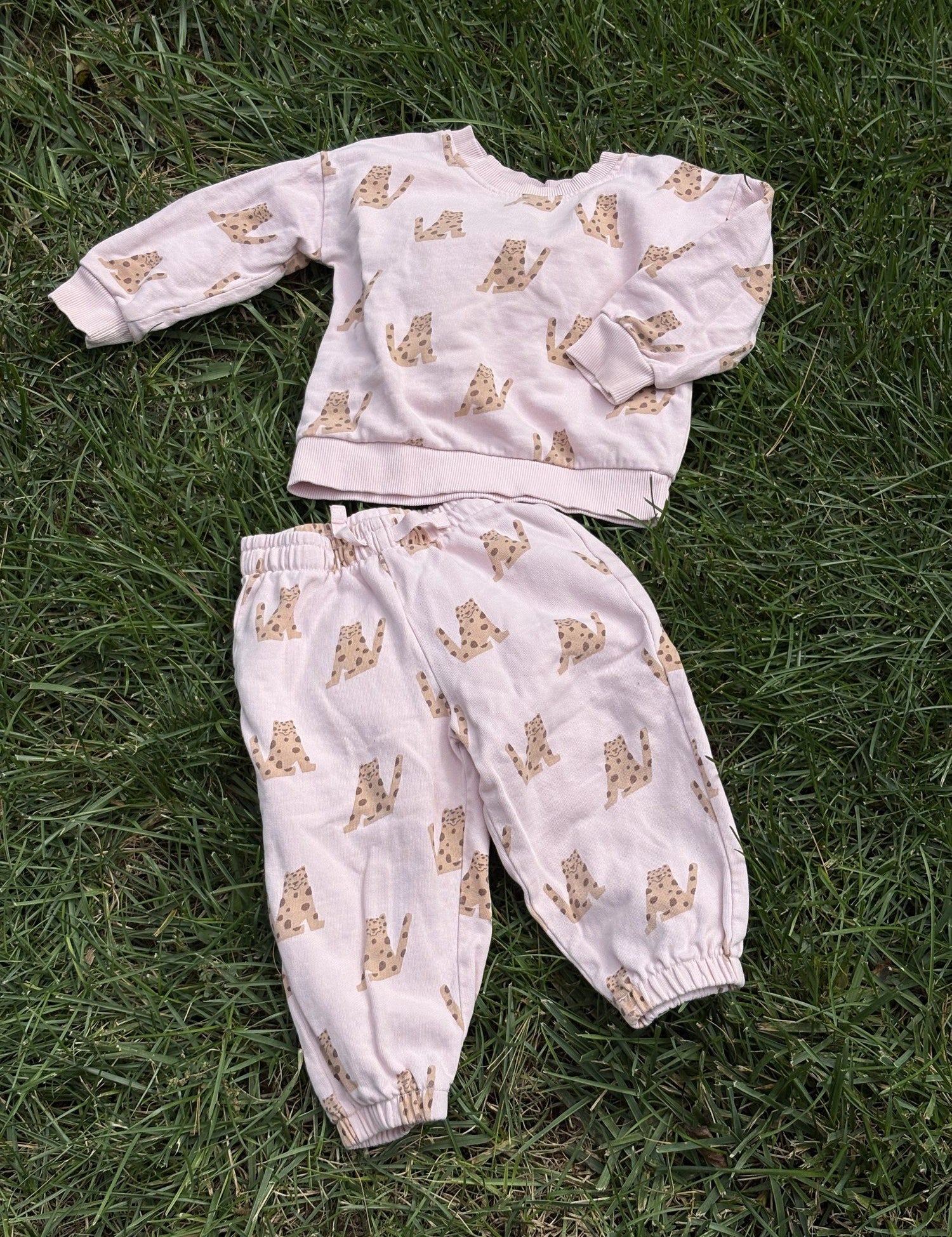 Pre-loved Hanna Andersson pink leopard print sweatshirt and jogger set, kids size 2T, front view, laid flat on grass