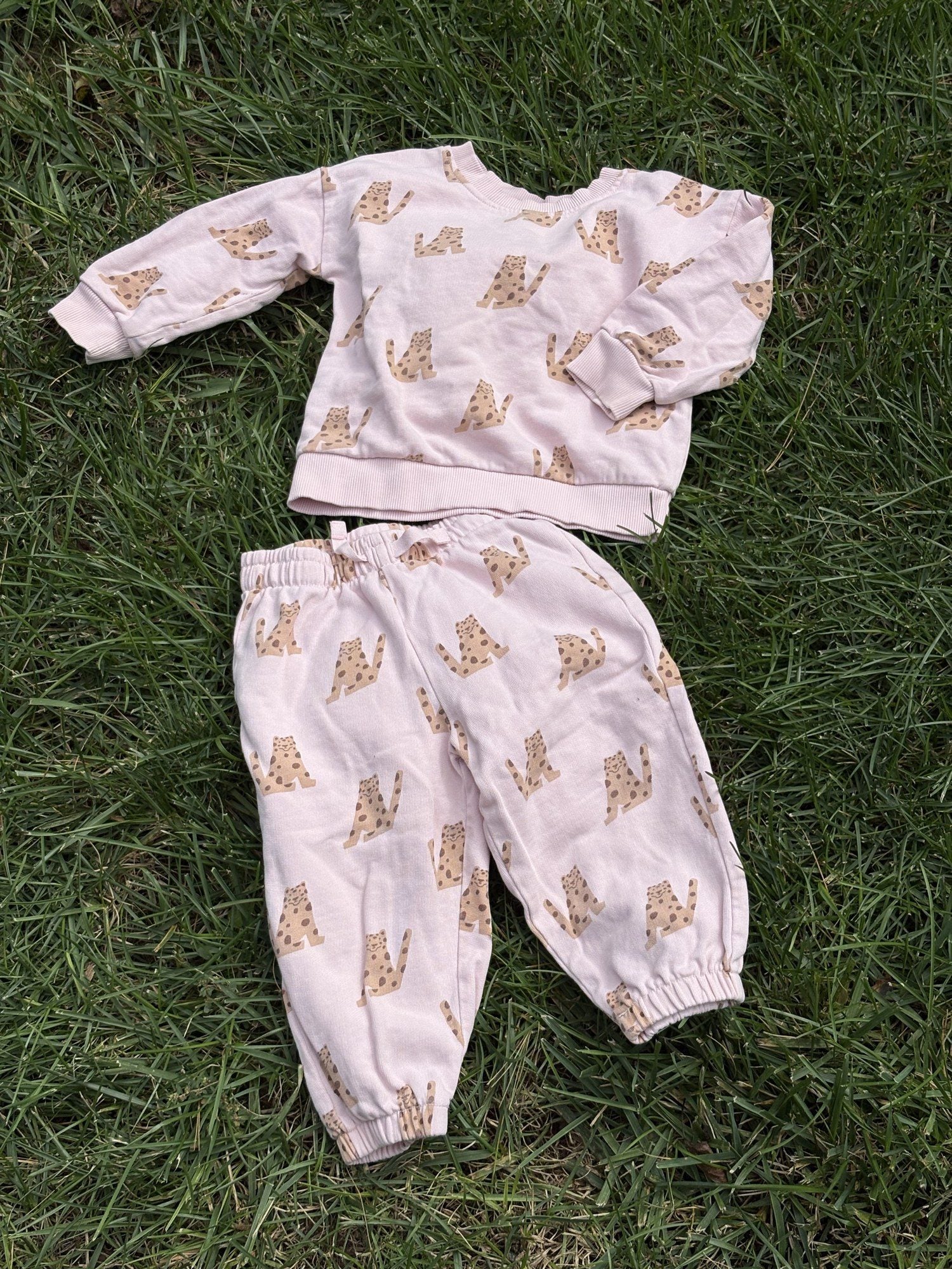 Pre-loved Hanna Andersson pink leopard print sweatshirt and jogger set, kids size 2T, front view, laid flat on grass