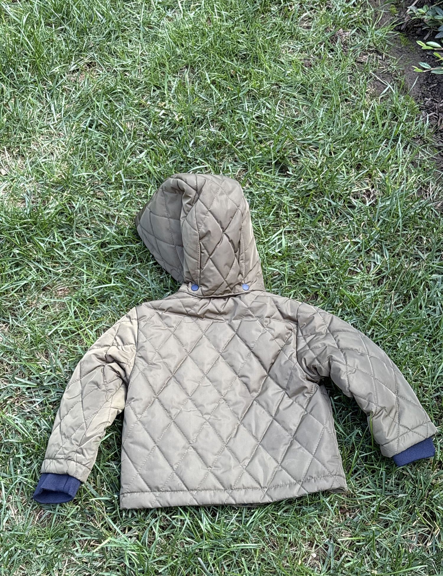 Pre-loved Jacadi olive quilted hooded jacket, kids size 18M, back view, laid flat on grass