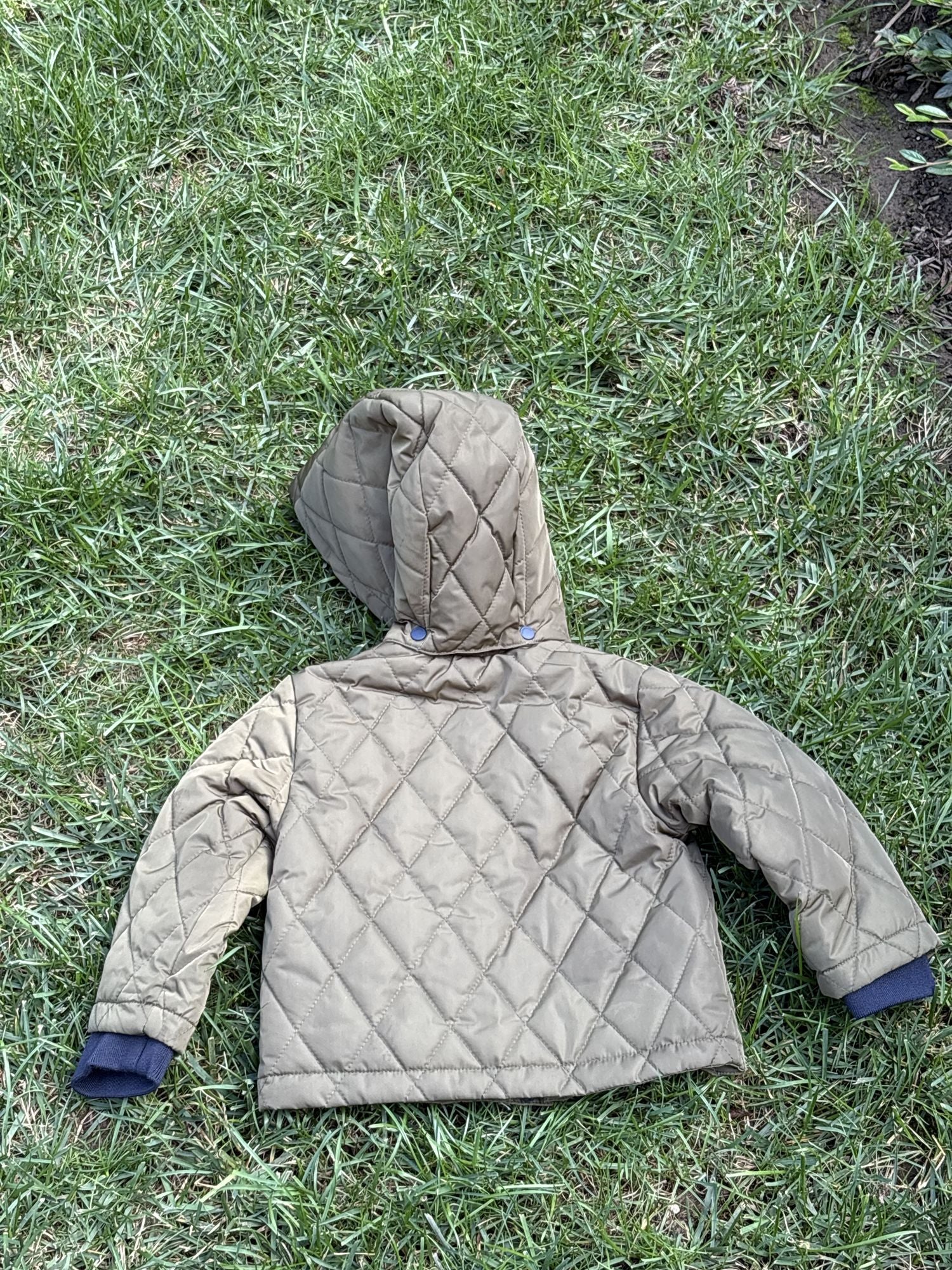 Pre-loved Jacadi olive quilted hooded jacket, kids size 18M, back view, laid flat on grass
